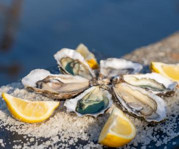 Bars à huître et fruits de mer île d'Oléron Marennes