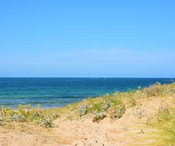 Webcam plage de la Perroche, Oléron-Insel