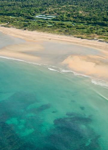 Horaires des marées et météo sur l'île d'Oléron et le bassin de Marennes