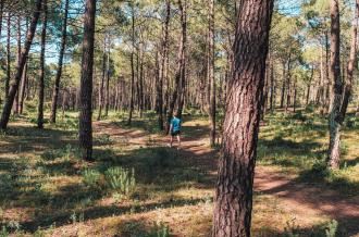 Paseos por la isla de Oléron