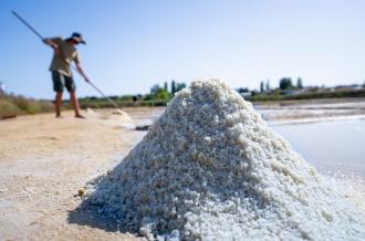 Produits du terroir île d'Oléron Marennes