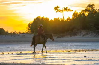 Sobre las mujeres en Marennes-Oléron