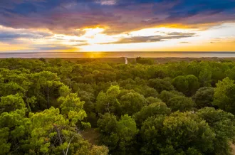 Forêt des Saumonards_Saint-Georges-d'Oléron