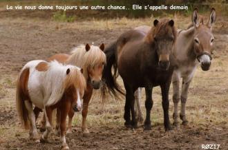 Les jeunes sauvés