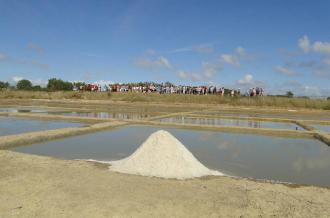 Salines en fête