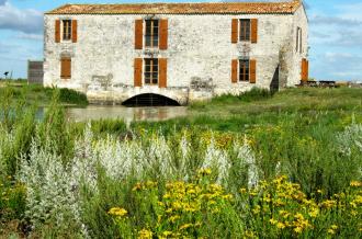 Moulin des Loges