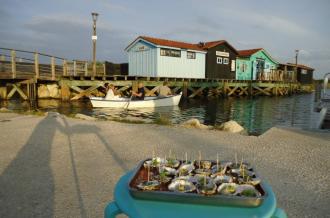 Apéro barque au Port des Salines, Oléron