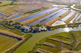 Circuit pédestre: Balade entre Petit Nieulle et Grand Nieulle_Nieulle-sur-Seudre
