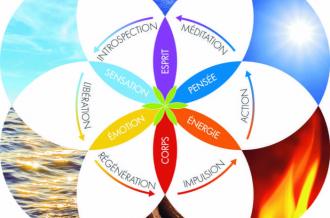 GlobalDetox - Centre de Naturopathie Holistique