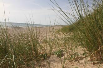Les Seulières, entre dune et marais