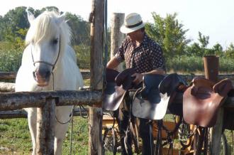 Chevaux de La Manade