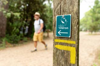 Chemin d'Oléron