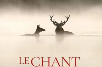 Cinéma ""Le chant des forêts"_Saint-Denis-d'Oléron