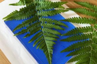 Escale créative : Impressions végétales sur plaque de gel_Saint-Denis-d'Oléron