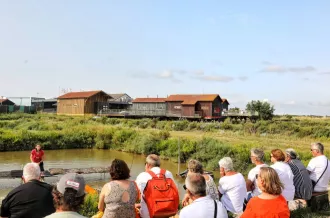 Le mois des écaillers à la Cité de l'huître_Marennes-Hiers-Brouage