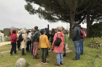 sortie plantes