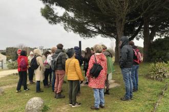 sortie plantes