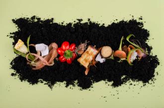 Réussir son compost sans nuisible_Dolus-d'Oléron