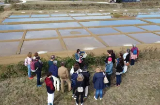Visite commentée du marais salant du Port des Salines