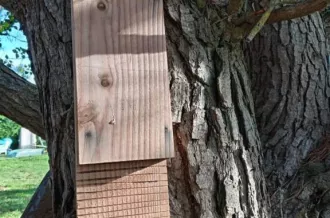 Atelier construction d'un abri à Chauve-souris