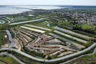 Sel océan Ile d'Oléron_Le Château-d'Oléron