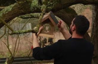 Tout savoir sur les mangeoires_Dolus-d'Oléron