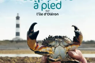 Conférence UTLMO : La pêche à pied sur Oléron : un beau passé, un présent, et peut-être un avenir.