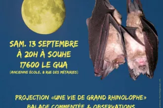 Nuit de la Chauve-souris