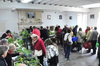 Bourse aux plantes_Le Grand-Village-Plage