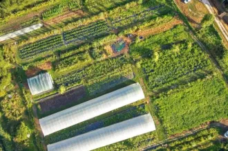 APO Atelier Protégé d'Oléron_Saint-Trojan-les-Bains
