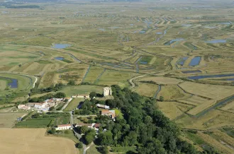 L'archéologie, c'est permis !_Saint-Sornin