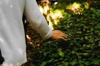 Rencontrer la forêt 