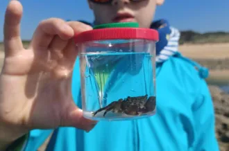 Pêche à pied d'exploration