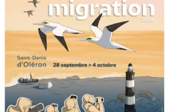 Atelier linogravure - Festival de la Migration 2026_Saint-Denis-d'Oléron