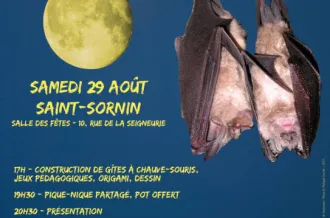 Nuit de la Chauve-souris