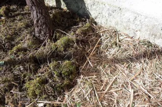 Atelier "Les végétaux : ressources de mon jardin"