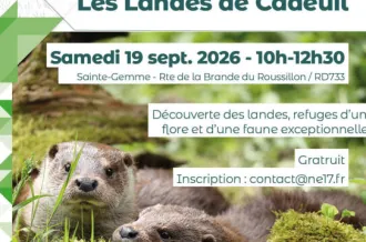 Sortie nature aux Landes de Cadeuil