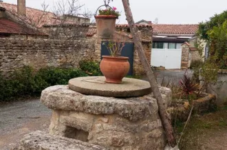 Circuit pédestre : Chaucre, entre vignoble et océan_Saint-Georges-d'Oléron