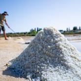 Lokale producten île d'Oléron Marennes