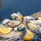 Oester- en visbars île d'Oléron Marennes