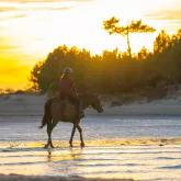 Sobre las mujeres en Marennes-Oléron