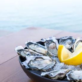 Viaje por carretera Maritieme Geschmacksroute