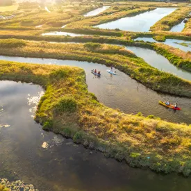 Ver las fotos con tus amigos
