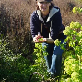 Atelier plantes comestibles