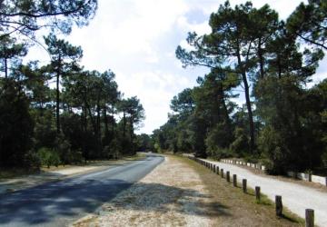 Pistes cyclables et forêt domaniale