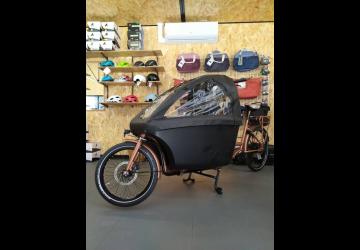 Location vélos Cycles Demion - Saint-Trojan les Bains