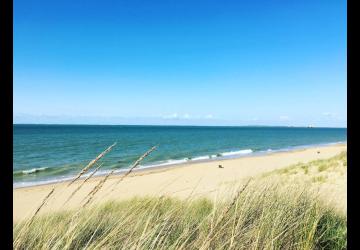 plage des saumonards