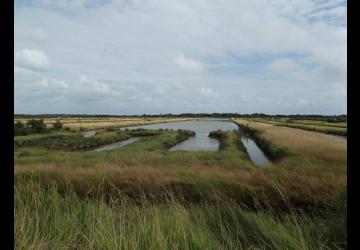 Marais du Douhet