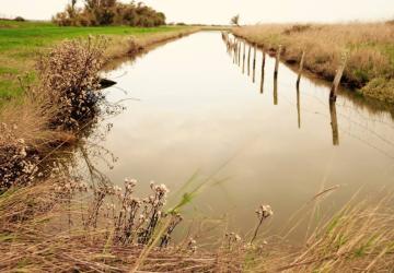 Marais de l'éguille