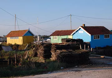 Site ostréicole de Daire